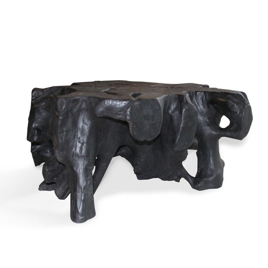 Teak Black Coffee Table