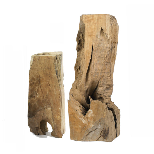 Wood Stump