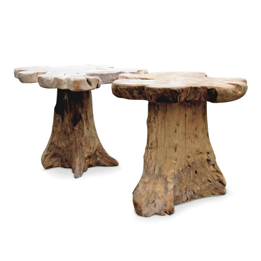 Mushroom Table