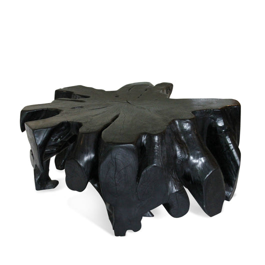 Black Root Table